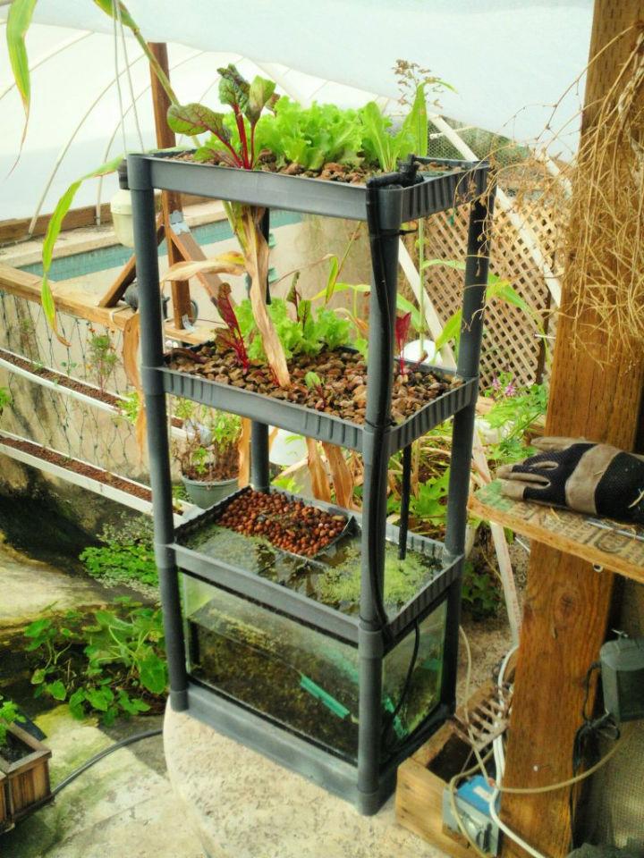 Unidad de cultivo vertical Aquaponic de estantería