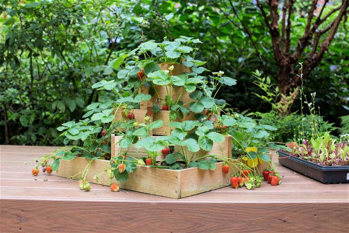 Building a Strawberry Planter