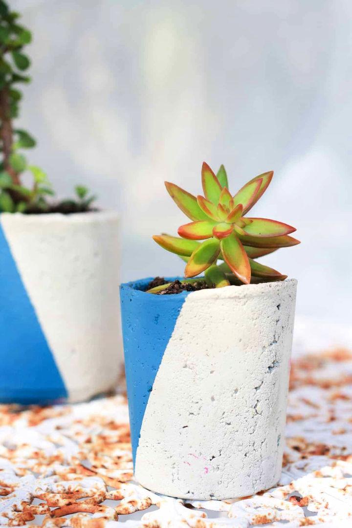 Cheap DIY Cement Planters