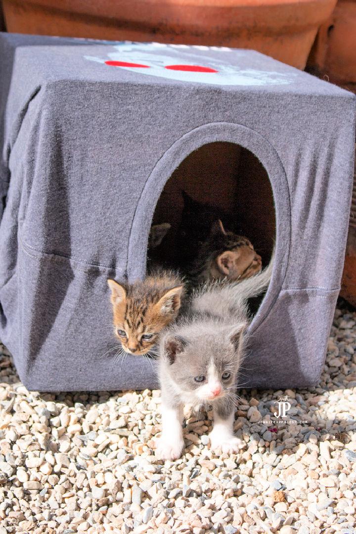 Cheap DIY Outdoor Kitty House