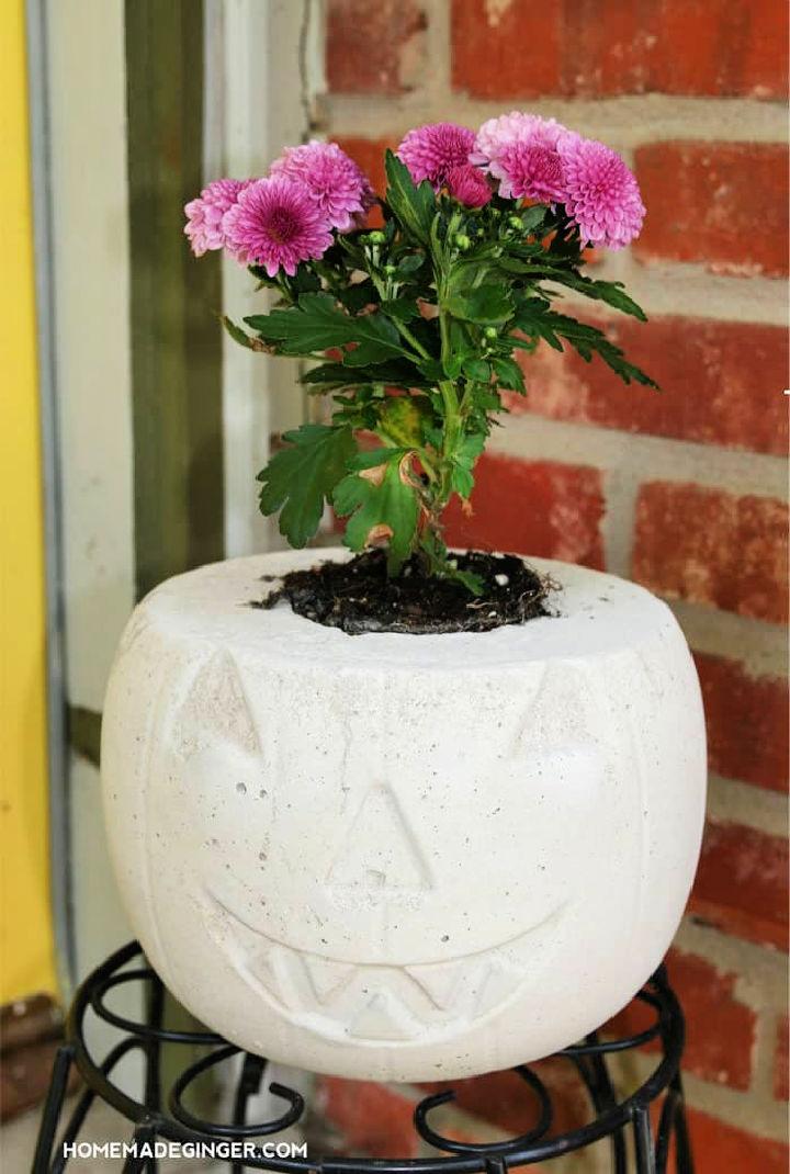 Concrete Pumpkin Planter