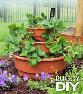 DIY Strawberry Planter: A Quick & Easy Guide