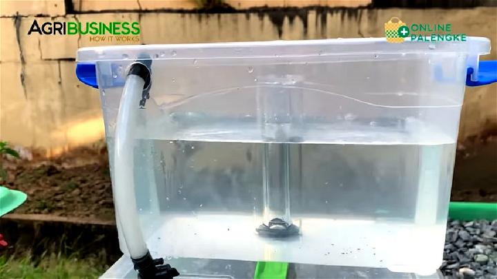 DIY Aquaponics for Beginners