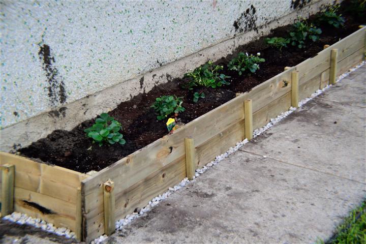 DIY Canada Day Strawberry Planter