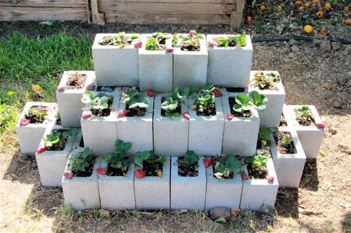 DIY Cinder Block Strawberry Planter