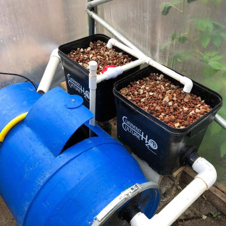 DIY Hobby Aquaponics System