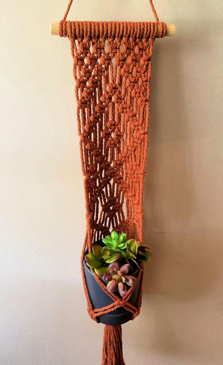 DIY Macrame Wall Plant Hanger