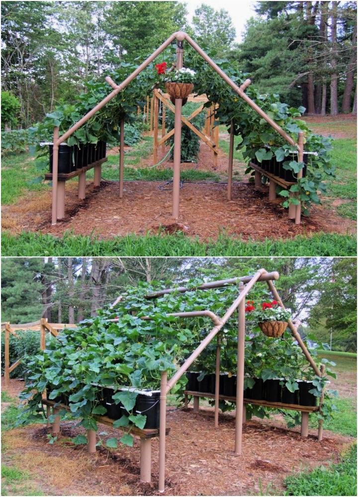 DIY PVC Cucumber Trellis