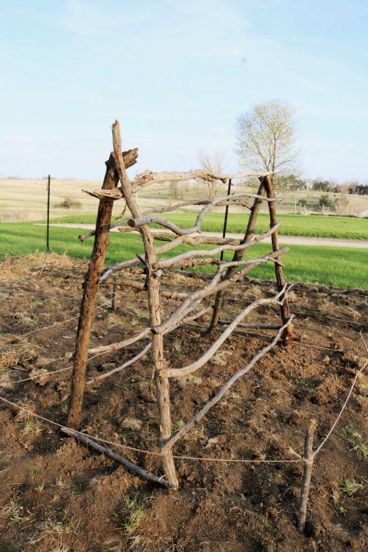 DIY Pioneer Garden Trellis Idea