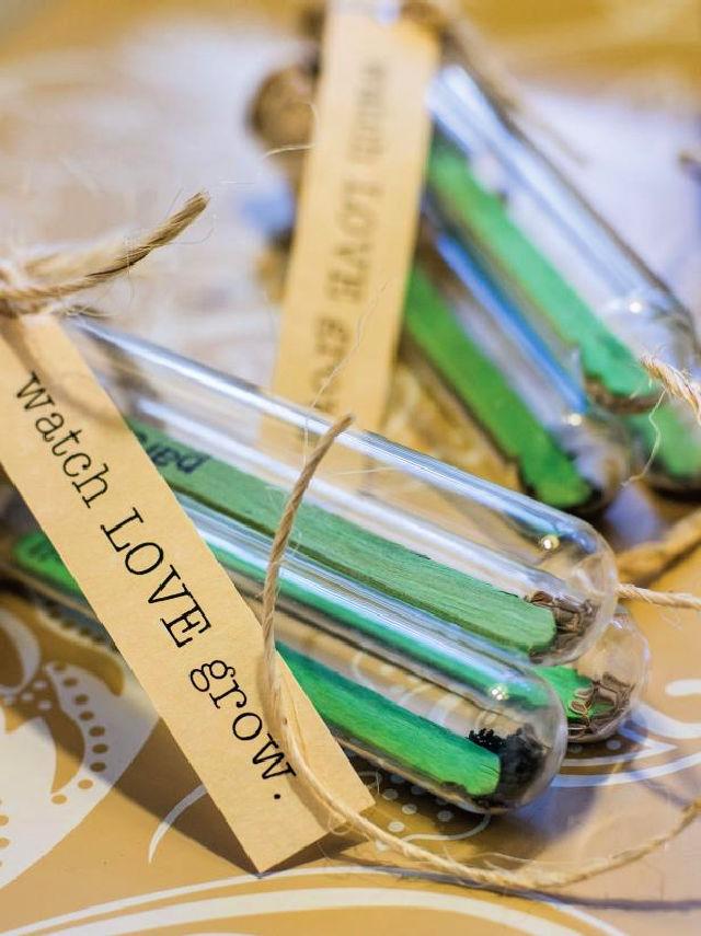 DIY Seed Starter Wedding Favor