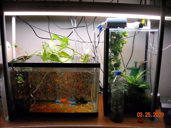 DIY Simple Indoor Aquaponics