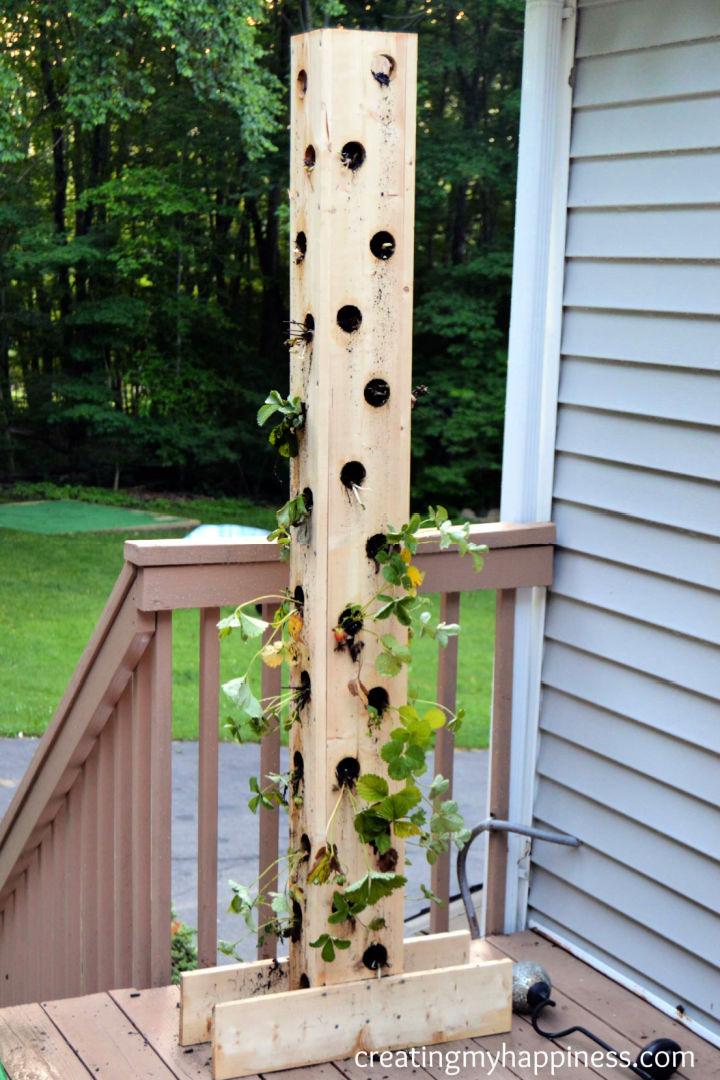 DIY Strawberry Tower for Under $30