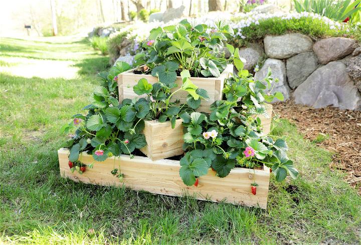 DIY Tiered Strawberry Planter