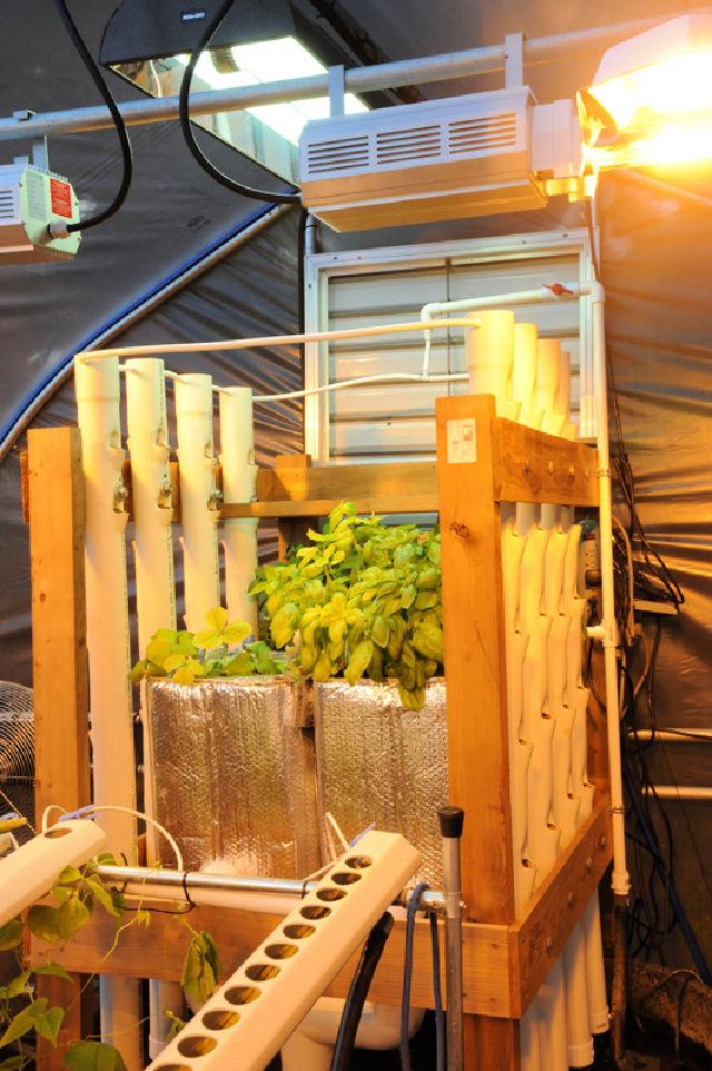 DIY Vertical Aquaponics System