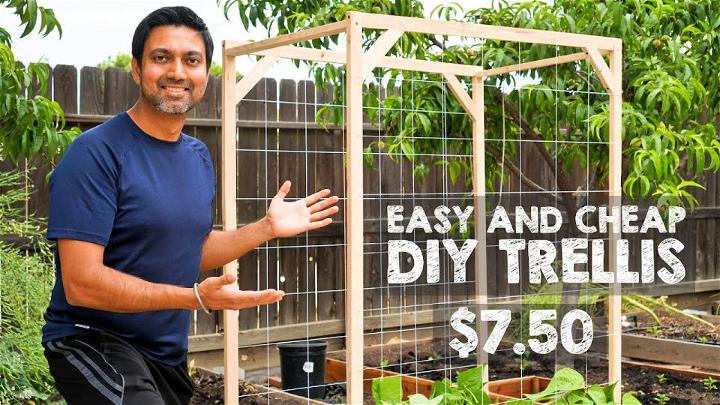 Easy and Cheap Cucumber Trellis