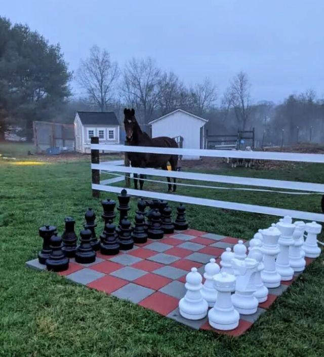 Giant DIY Outdoor Chess Set