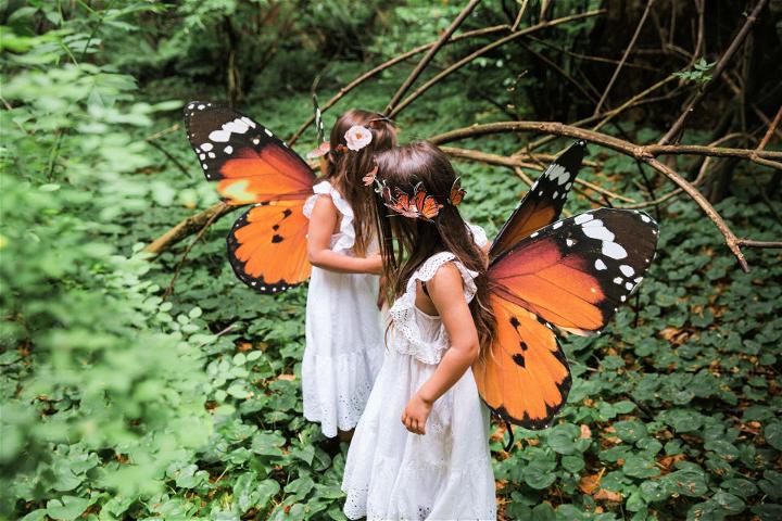 Homemade Fairy Wings
