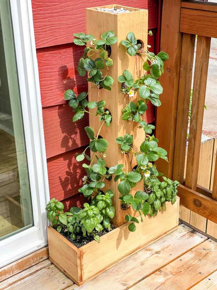 How to Build a Strawberry Planter