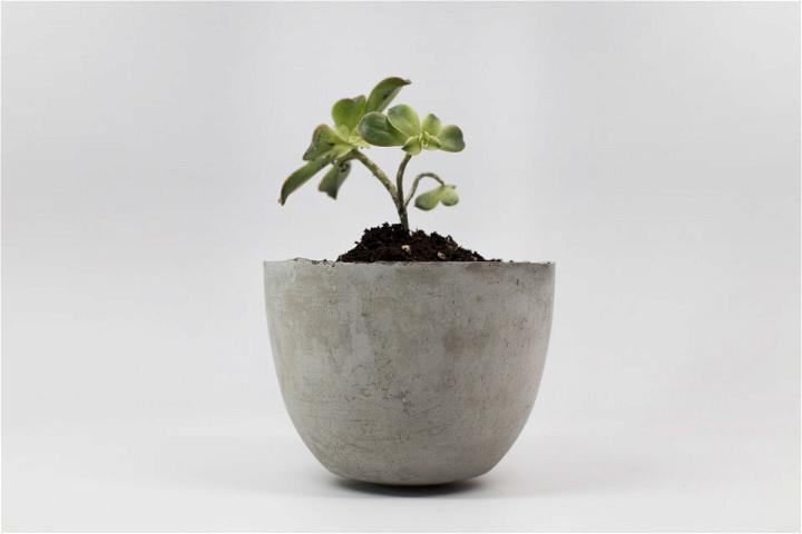 Lightweight Concrete Planter