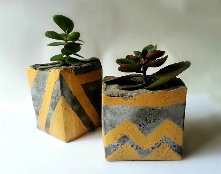 Make Your Own Concrete Planters