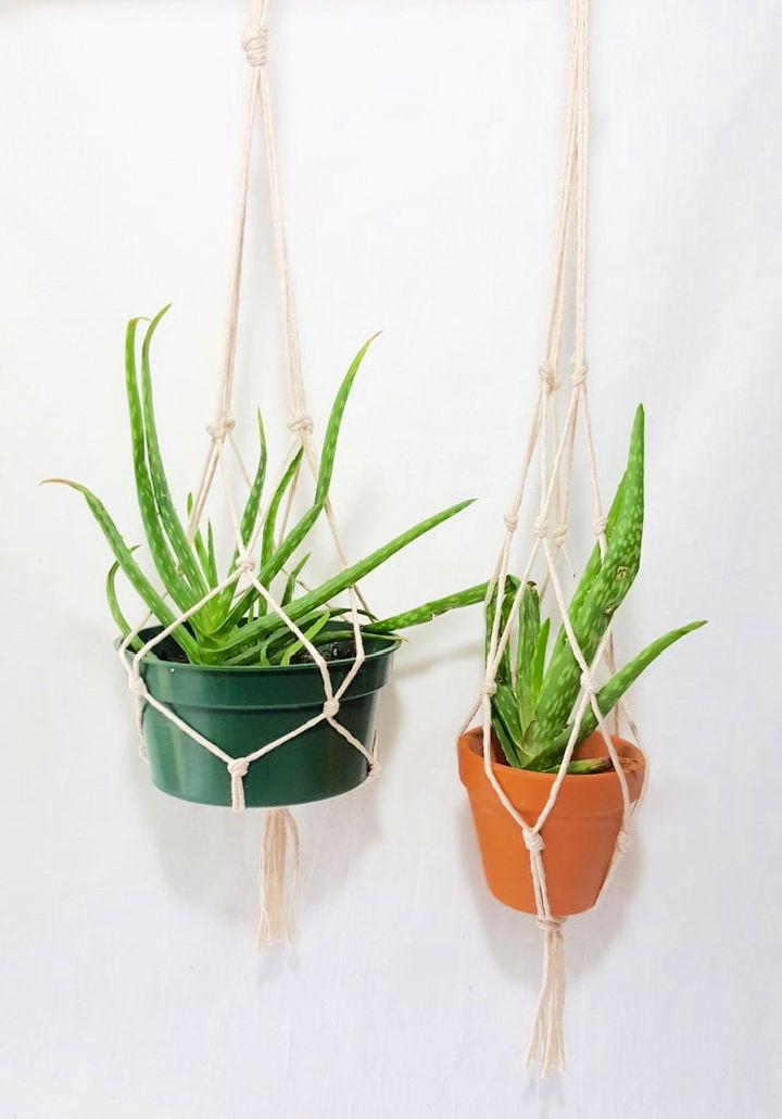 Mini Macrame Plant Hanger