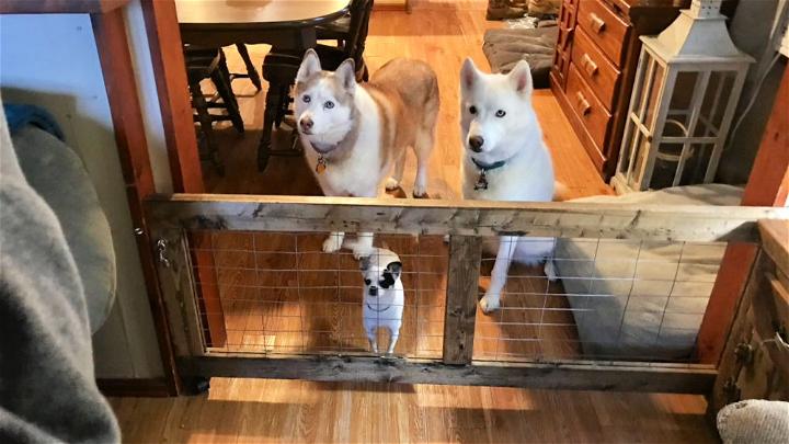 DIY Reclaimed Dog Gate