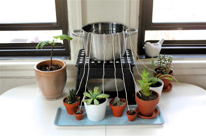 Self Watering System for Potted Plants