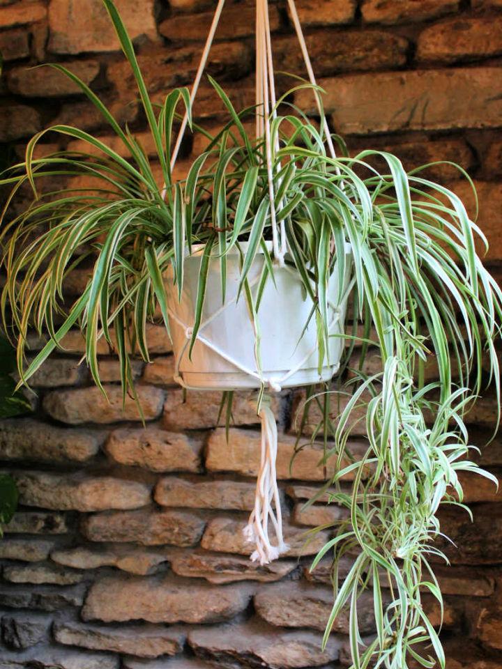 Simple DIY Macrame Plant Hanger
