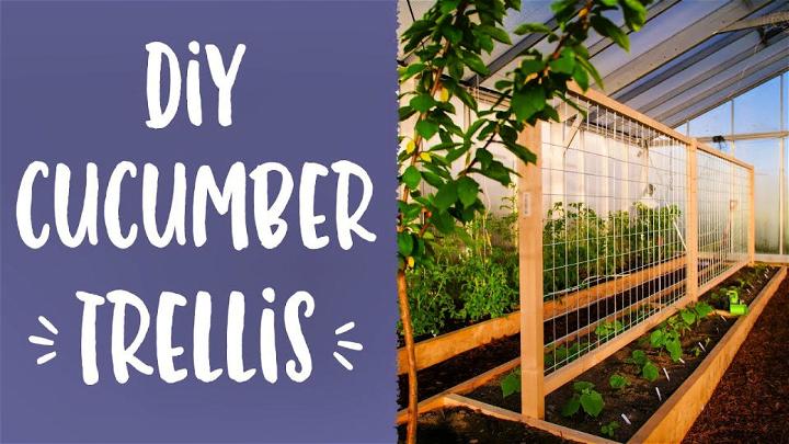 Small Garden Cucumber Trellis