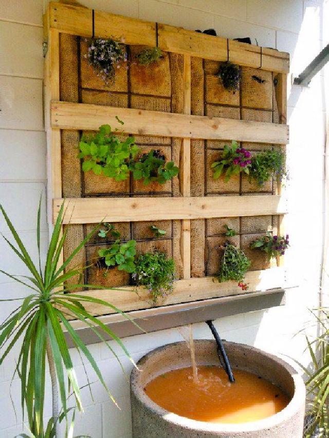 Vertical Aquaponics on the Patio