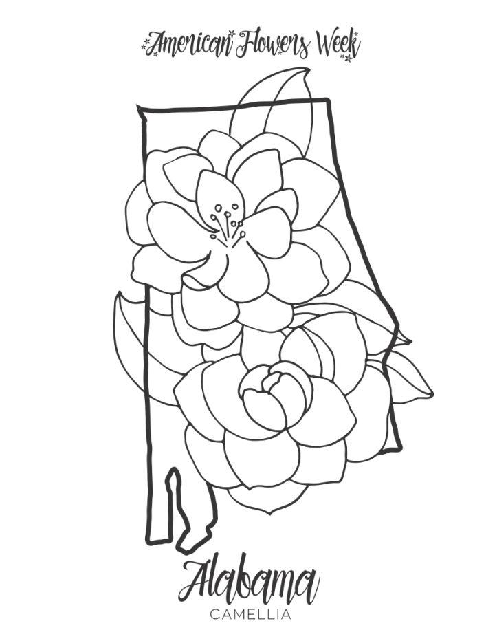 50 State Flower Coloring Pages