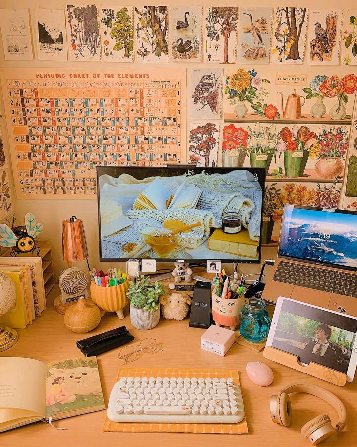 25 Unique Desk Decor Ideas for Home Office and Work Desk