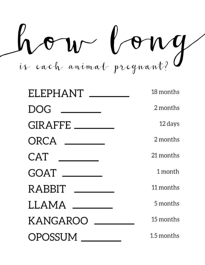 Animal Pregnancy Baby Shower Game