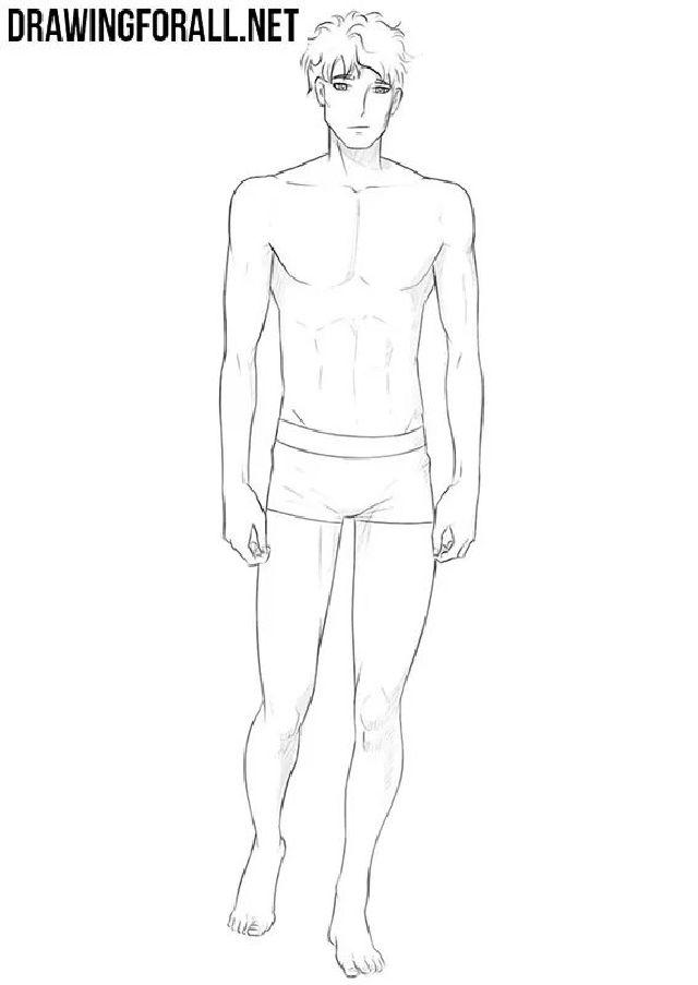 Anime Body Drawing