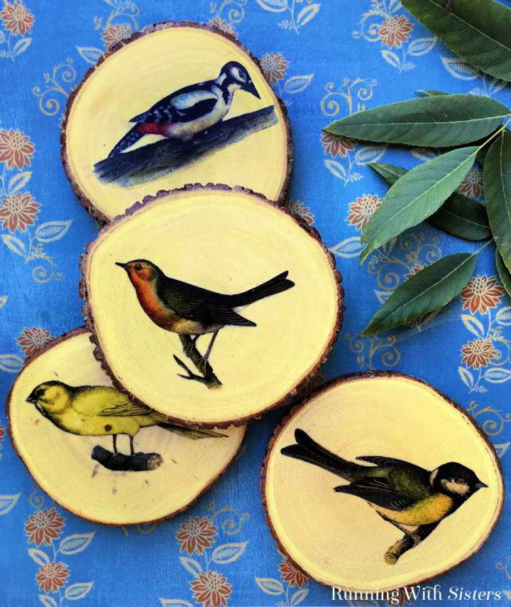Backyard Mod Podge Bird Coasters