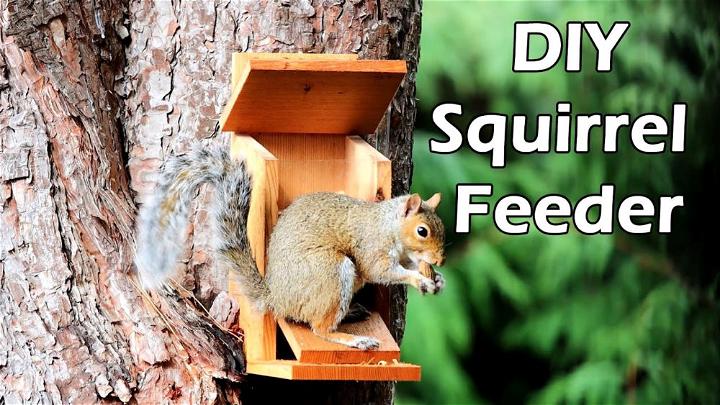 Best DIY Squirrel Feeder