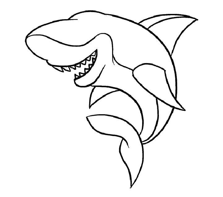 Cartoon Shark Drawing