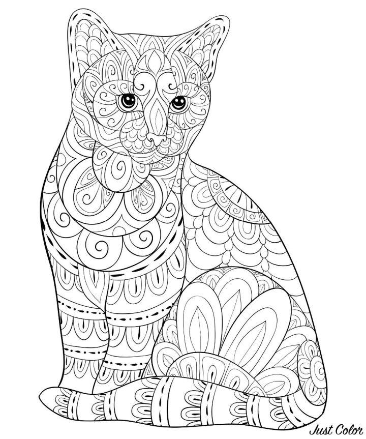 Cats Coloring Pages for Adults