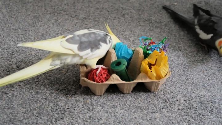 Cheap and Easy DIY Parrot Toys