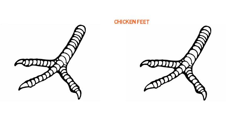 Chicken Feet Drawing