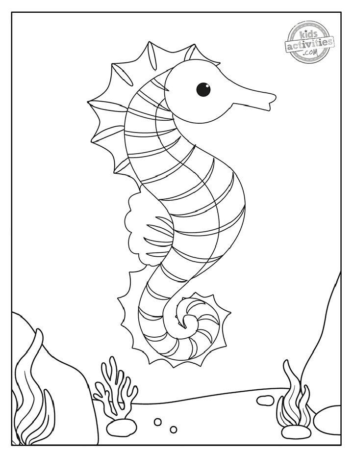 Cutest Seahorse Coloring Pages