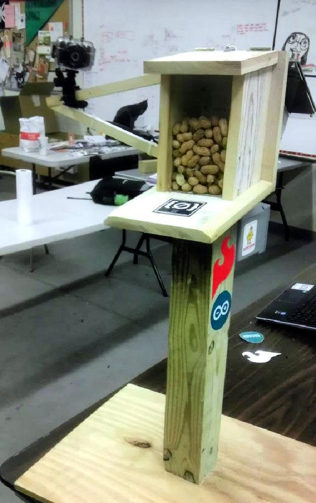 DIY Bird Proof Squirrel Feeder