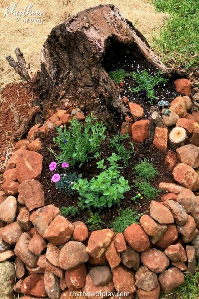 DIY Fairy Garden in a Tree Stump