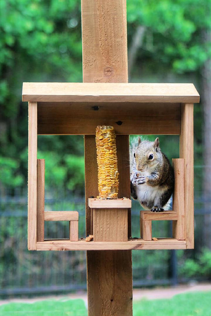 DIY Squirrel Corn Cob Feeder