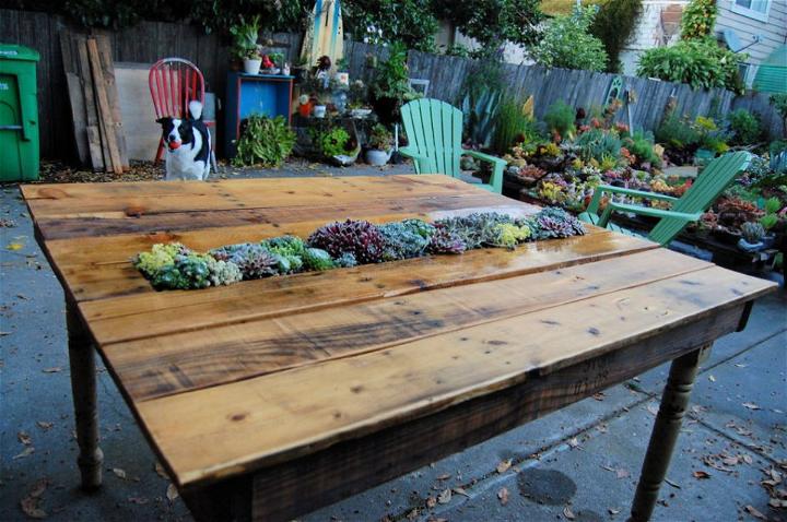 DIY Succulent Pallet Table