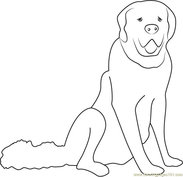 Dog Coloring Pages Pictures
