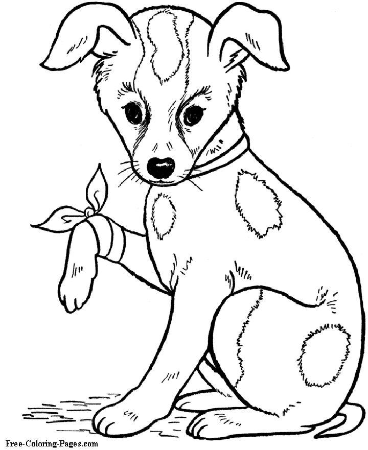 Dog Coloring Pages to Print and Color