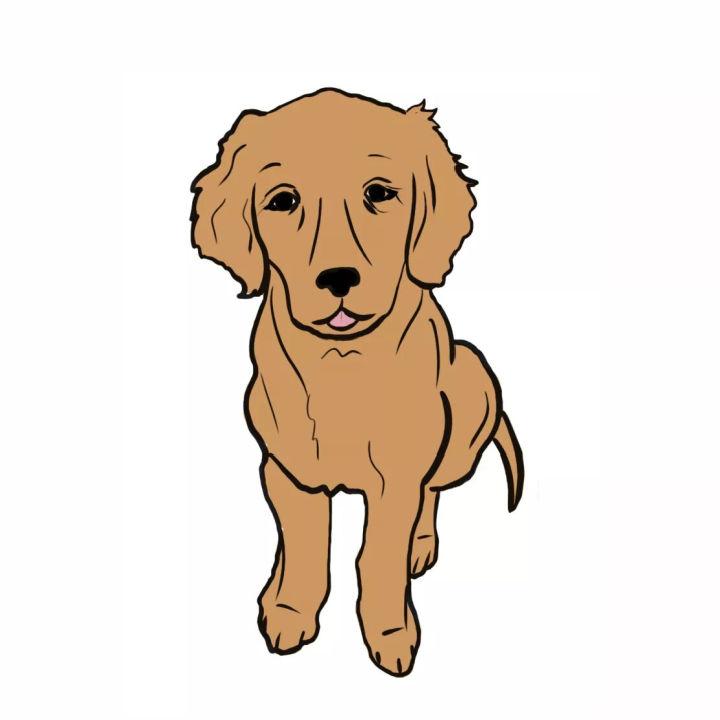 Dog Drawing For Kids