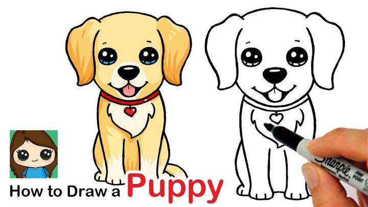 Draw A Golden Retriever Puppy