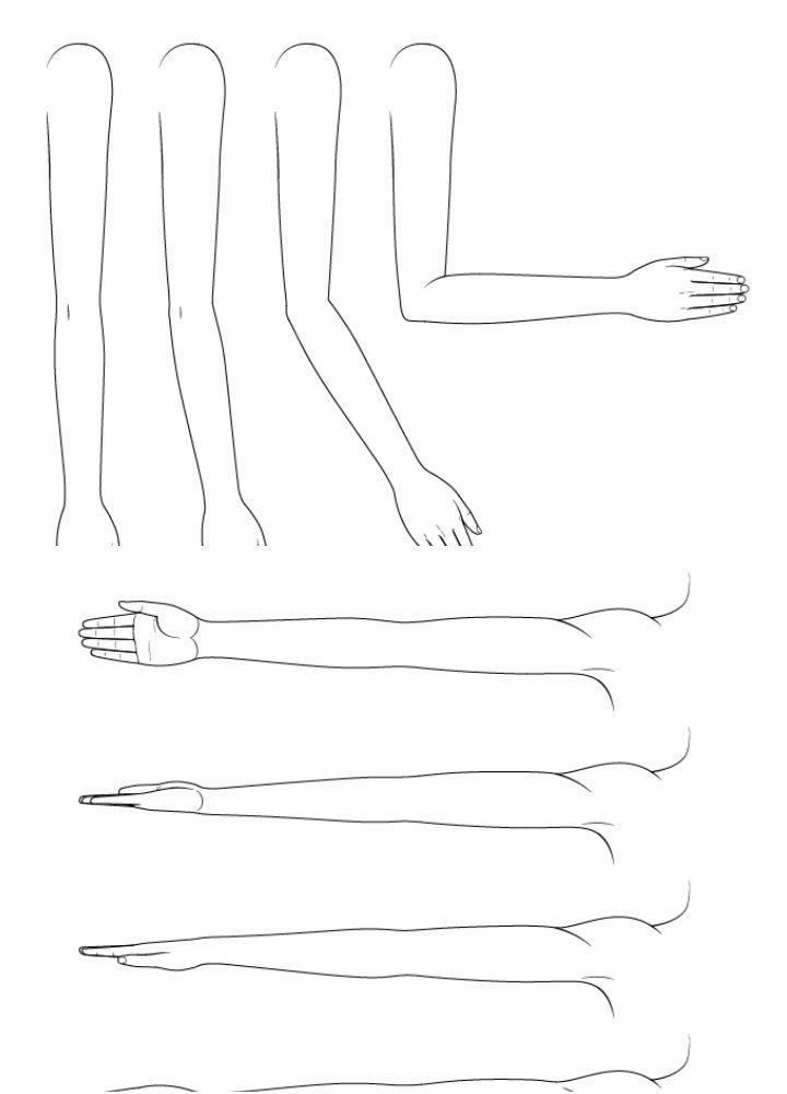 How To Draw Anime Anatomy Easy Tutorial 25 Steps Toon 